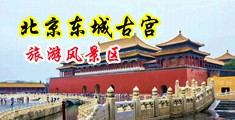 男生的鸡吧插进女生的骚逼里狂操逼软件中国北京-东城古宫旅游风景区